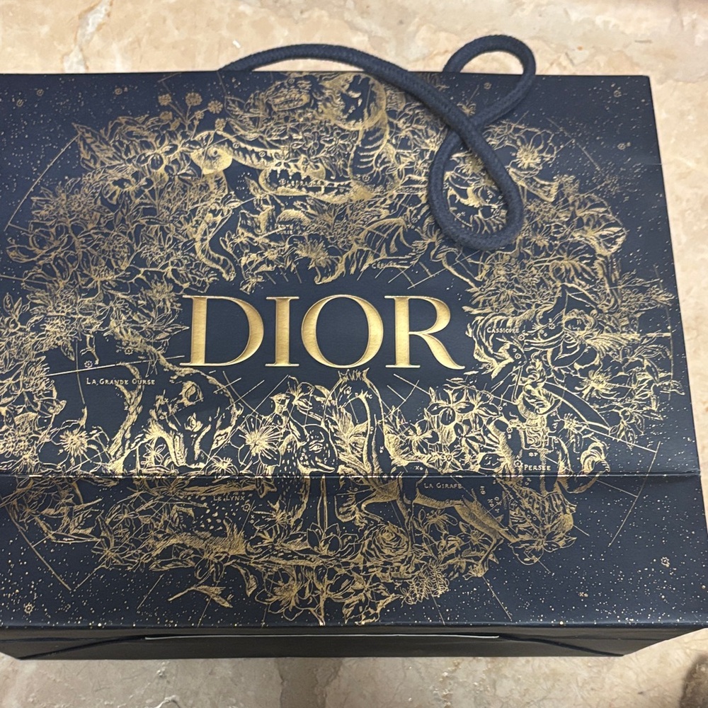 Dior Black and Gold Artistic Gift Bag